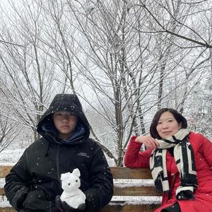 秋日归雁头像