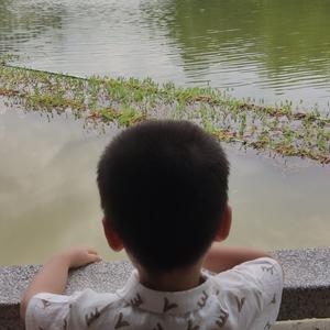 星星的礼物头像