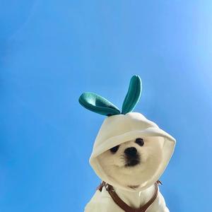 *͡ꦿ᭄ 听风এ᭄゛̶头像