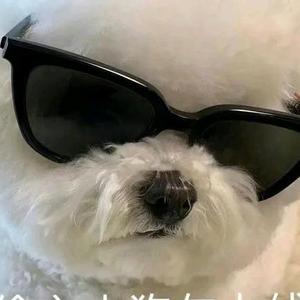 太帅雪藏二十年头像