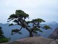 四明风和卢建波头像