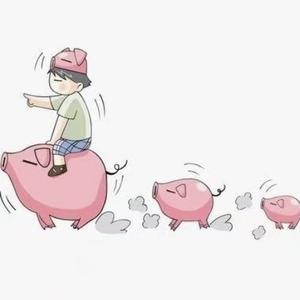 骑猪看电影头像