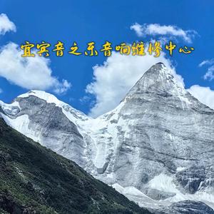 宜宾音之乐维修中心头像