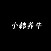 养牛的小韩头像