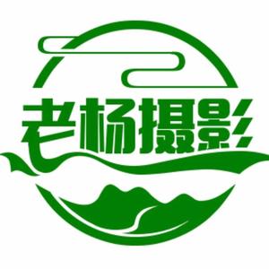 老杨摄影5z3h头像