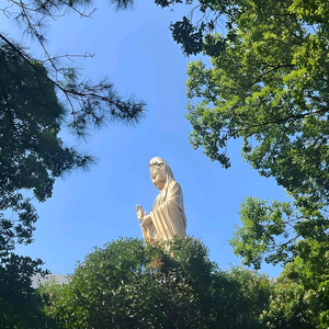 福萌小铺头像