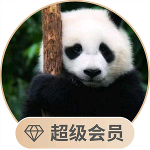 小小成头像