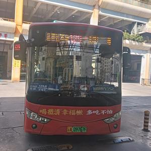 KMGJ55080头像