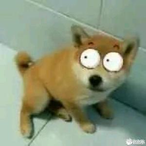 张小辉头像