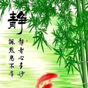 老刘头像