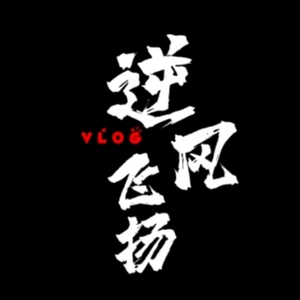 逆风飞扬VLOG头像