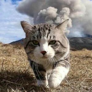 男儿当自强自立头像