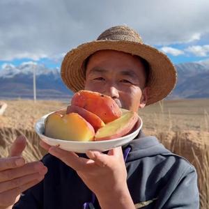 陈三娃（农家小院）头像