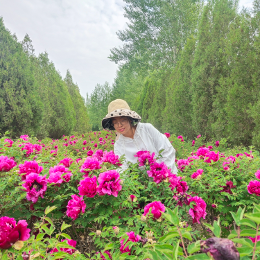 中川牡丹小吴头像