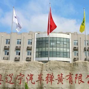 富奥辽弹人头像