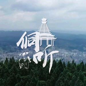 心随所侗头像