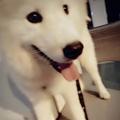 阿楠丶头像