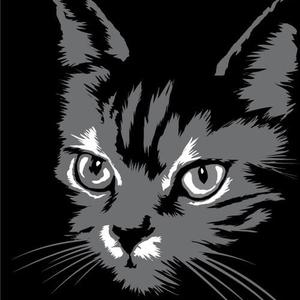 混血的猫头像
