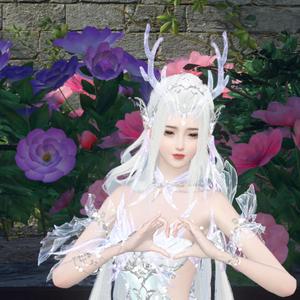 喵雪白头像