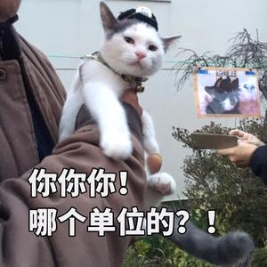 魔都省钱日记头像