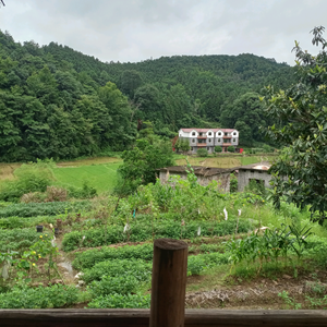 锁定目标前进头像