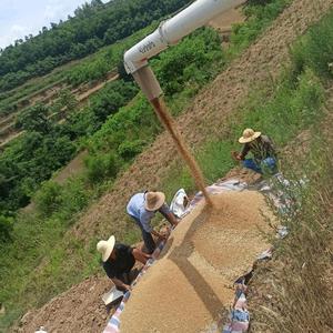 杨小油在怒力 头像