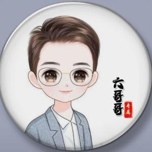 六哥的vlog头像