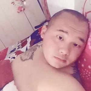 天天向尚头像