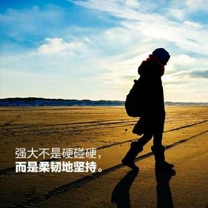 创业路上的亮哥头像