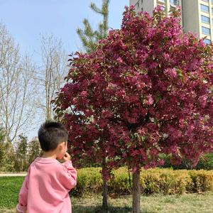 太阳当空赵老师头像