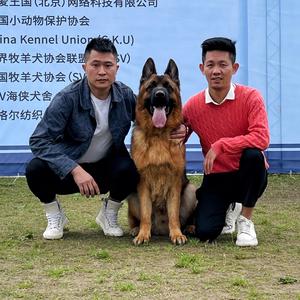重庆阿斯寇头像