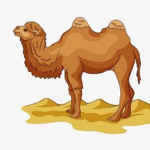沙漠大骆驼头像