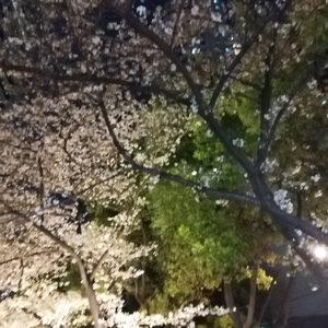 苒儿个健身坚持减肥运动女孩子每天直播头像