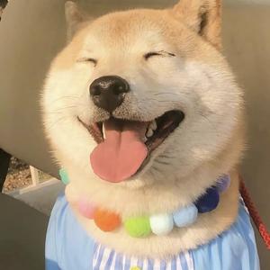 哔哔侃剧头像