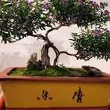 大连马踏飞燕头像