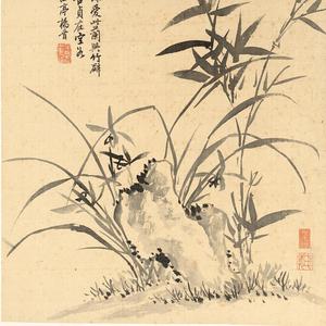博——泰头像