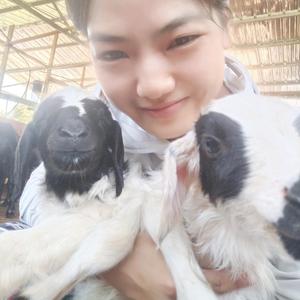 瑶瑶在养生头像