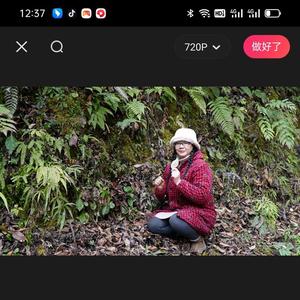波姐识百草头像