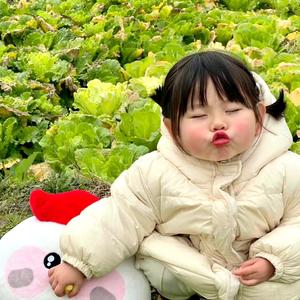 一吐为快头像