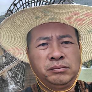 飞龙歌(小春歌中午12点50开播)头像