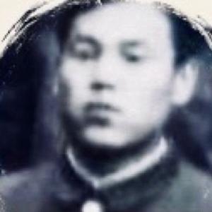 守株不待兔2头像
