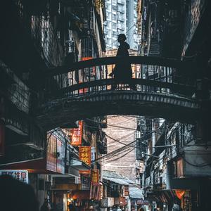 L   M头像