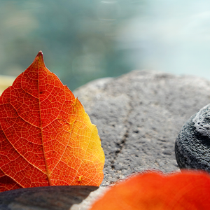 用户984779650924 头像