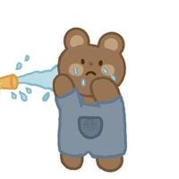 十三先生lss头像