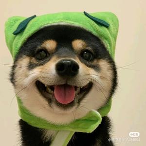 Fox头像