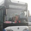 沟里公交人头像