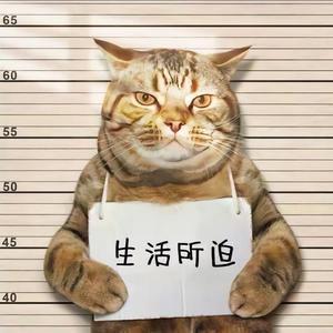 奋斗中的小表弟33头像
