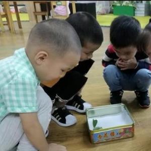 小狮子毛头像