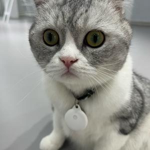 番茄哥头像