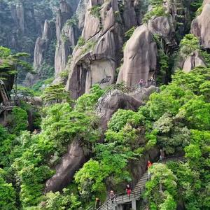 我来自会龙栖霞头像